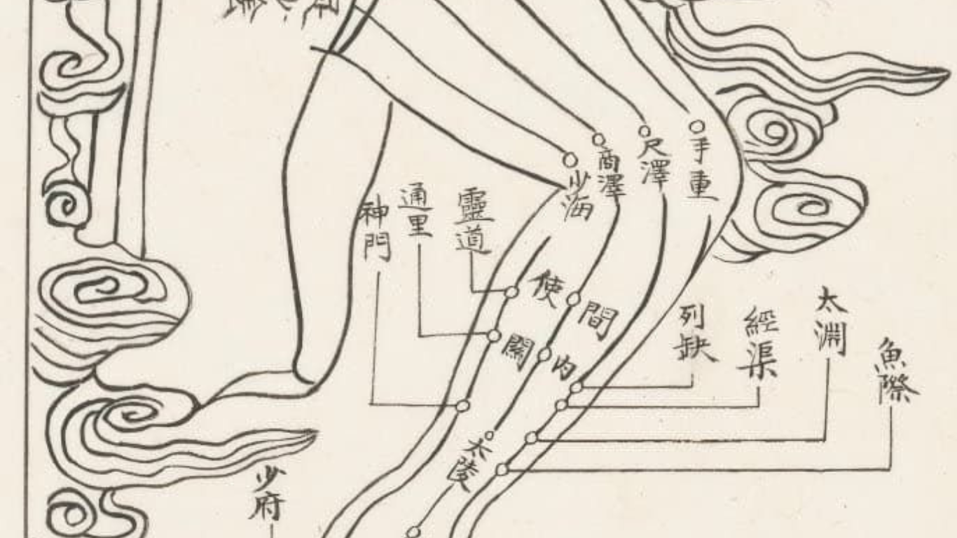 Acupuncture | 针刺