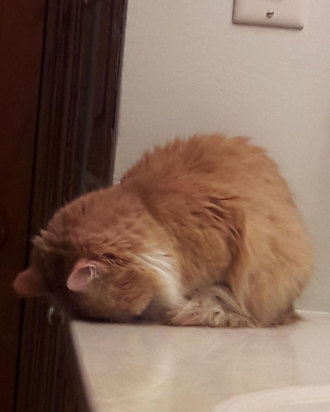 Tired All the Time? TCM Remedies for Chronic Fatigue