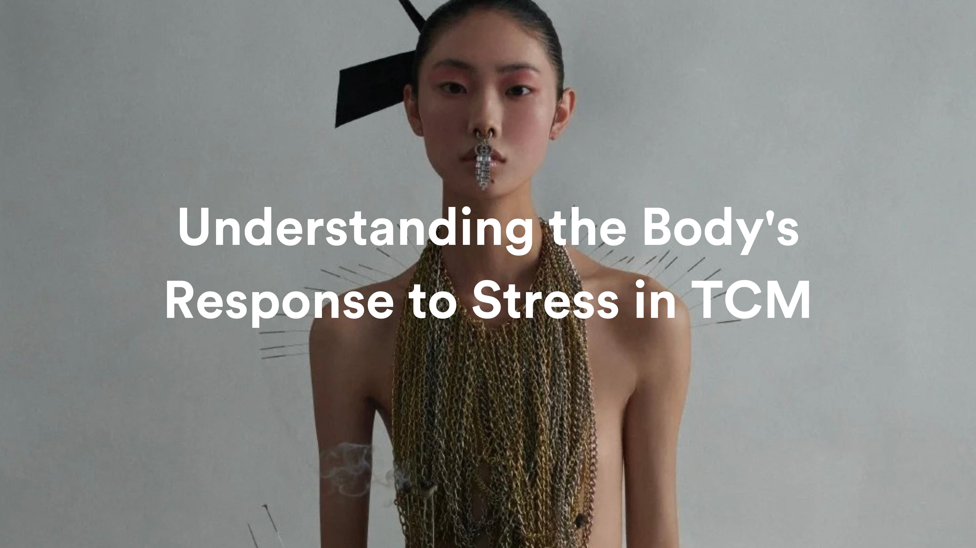 Understanding the Body's Response to Stress in Traditional Chinese Medicine
