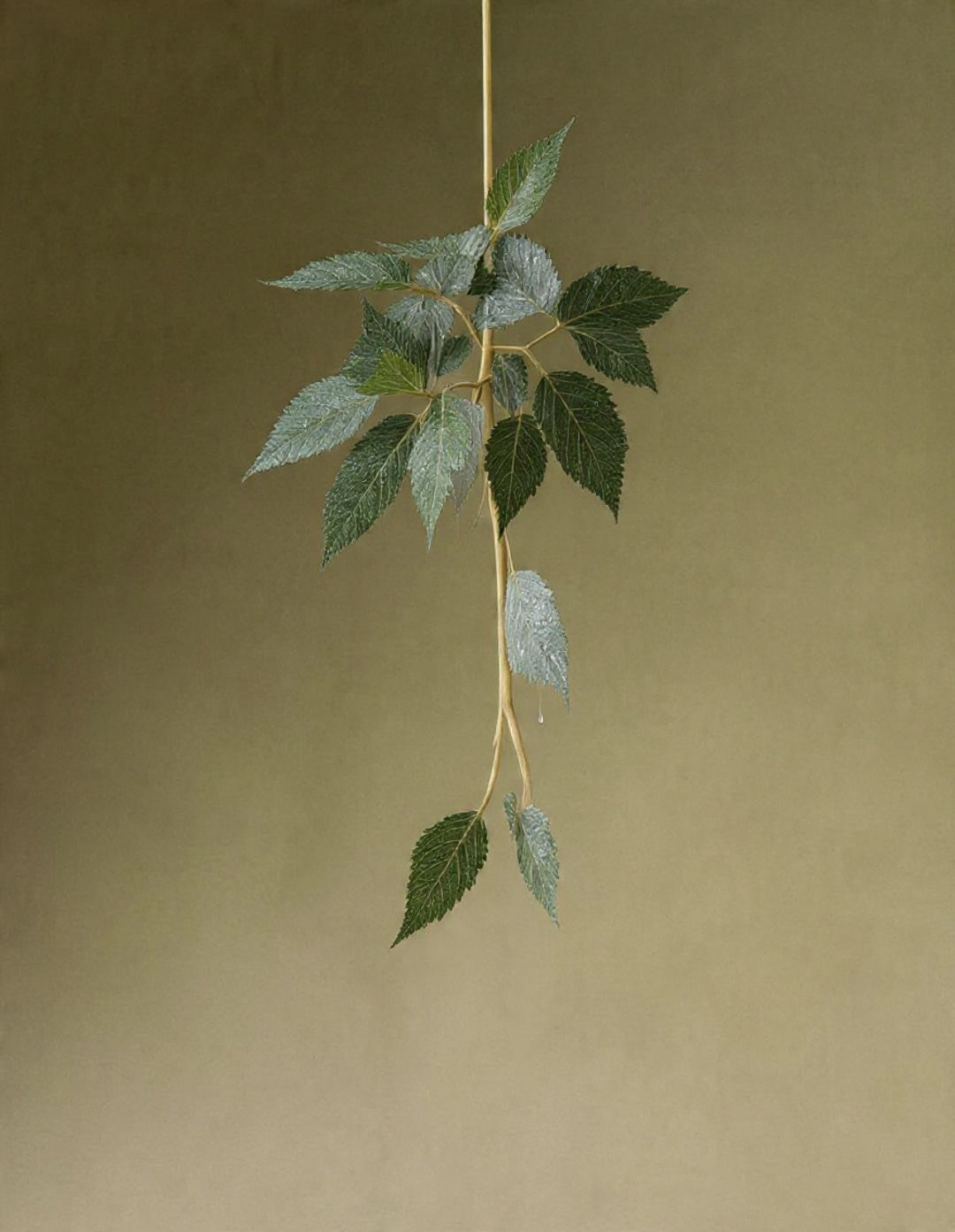 Ancient heat therapy